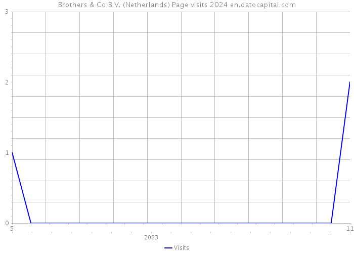 Brothers & Co B.V. (Netherlands) Page visits 2024 