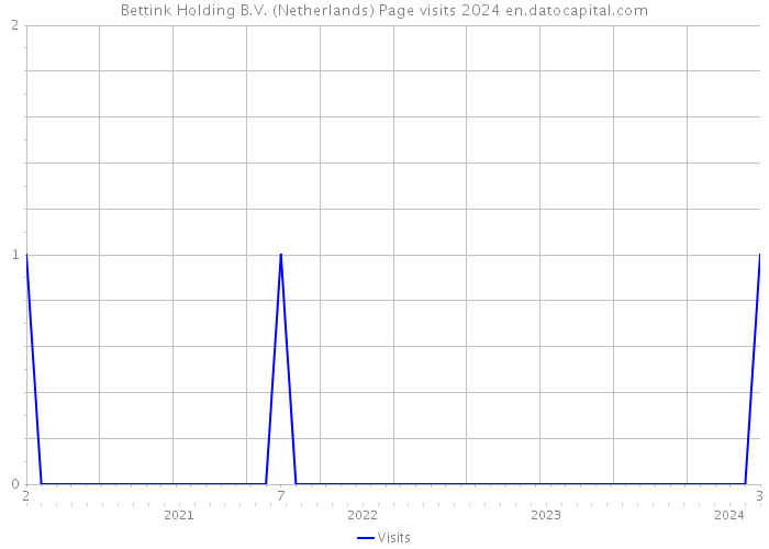 Bettink Holding B.V. (Netherlands) Page visits 2024 