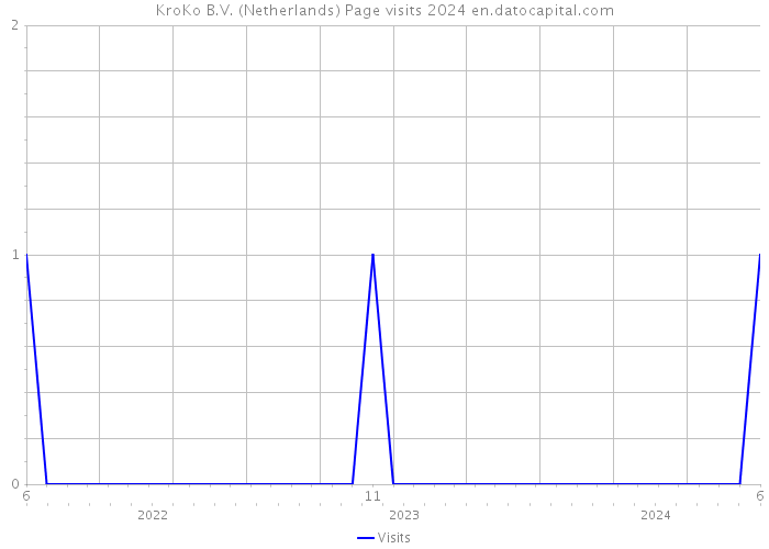 KroKo B.V. (Netherlands) Page visits 2024 