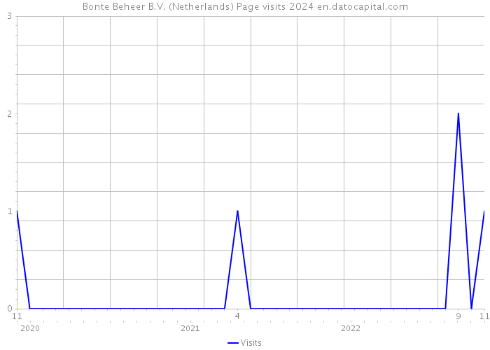 Bonte Beheer B.V. (Netherlands) Page visits 2024 