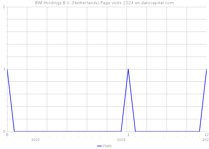 BWI Holdings B.V. (Netherlands) Page visits 2024 