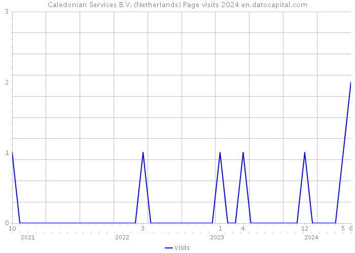 Caledonian Services B.V. (Netherlands) Page visits 2024 