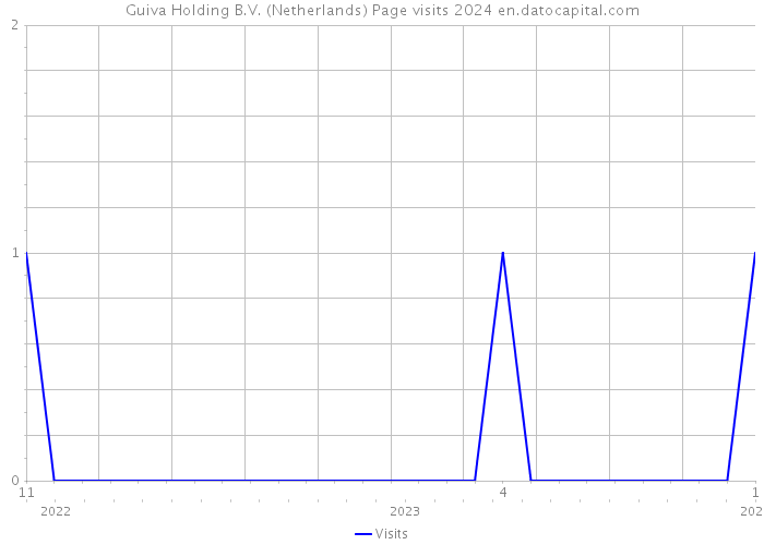 Guiva Holding B.V. (Netherlands) Page visits 2024 