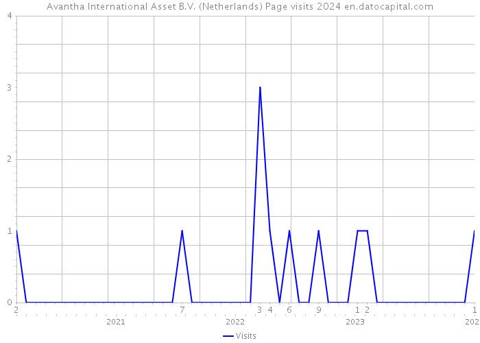 Avantha International Asset B.V. (Netherlands) Page visits 2024 