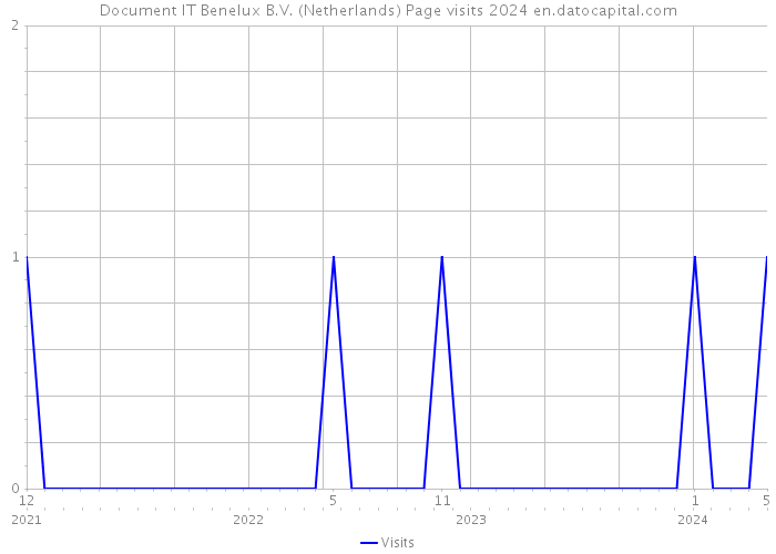 Document IT Benelux B.V. (Netherlands) Page visits 2024 
