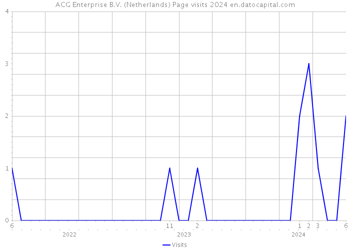 ACG Enterprise B.V. (Netherlands) Page visits 2024 