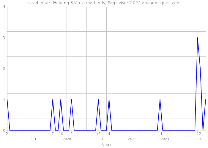 K. v.d. Voort Holding B.V. (Netherlands) Page visits 2024 