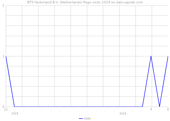 BTS Nederland B.V. (Netherlands) Page visits 2024 