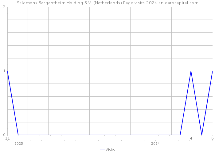 Salomons Bergentheim Holding B.V. (Netherlands) Page visits 2024 