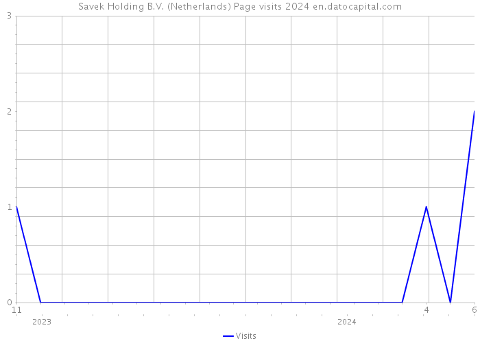 Savek Holding B.V. (Netherlands) Page visits 2024 