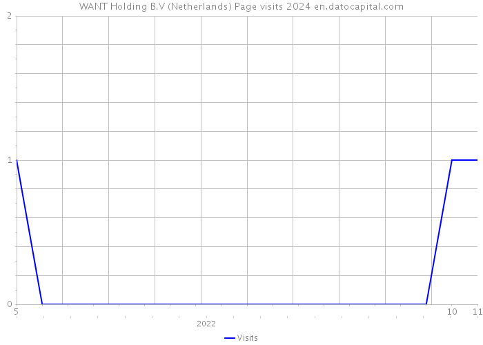 WANT Holding B.V (Netherlands) Page visits 2024 
