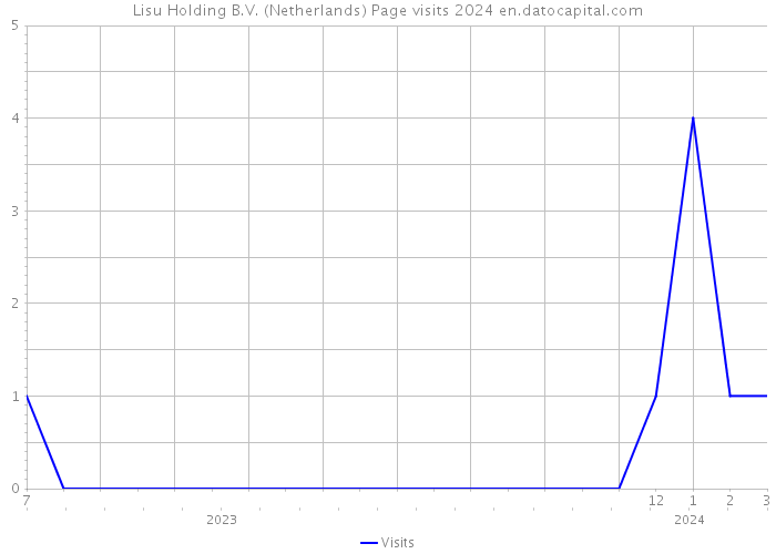 Lisu Holding B.V. (Netherlands) Page visits 2024 
