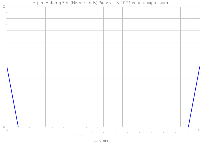Arjam Holding B.V. (Netherlands) Page visits 2024 