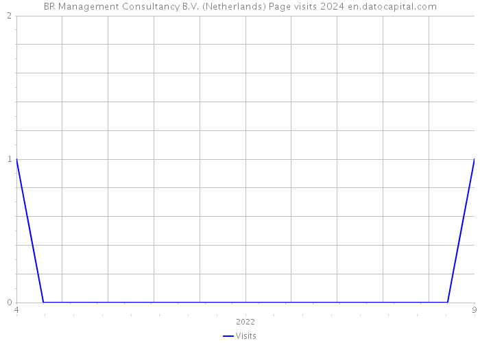 BR Management Consultancy B.V. (Netherlands) Page visits 2024 