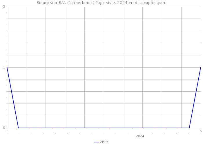 Binary star B.V. (Netherlands) Page visits 2024 