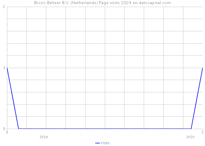 Brozo Beheer B.V. (Netherlands) Page visits 2024 