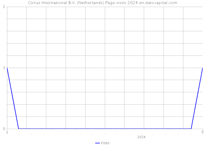 Cirrus International B.V. (Netherlands) Page visits 2024 