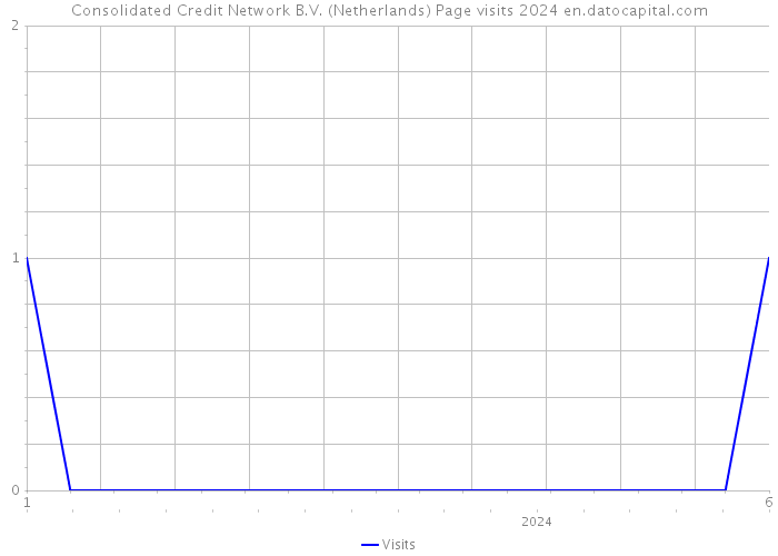 Consolidated Credit Network B.V. (Netherlands) Page visits 2024 