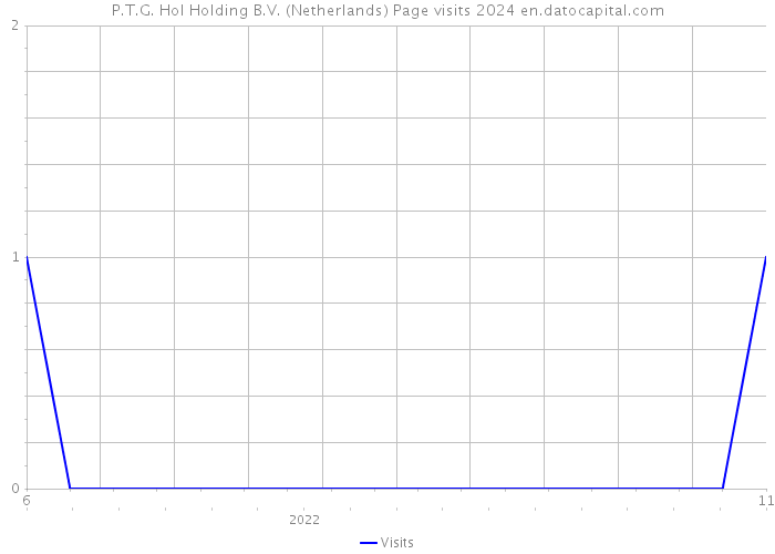 P.T.G. Hol Holding B.V. (Netherlands) Page visits 2024 