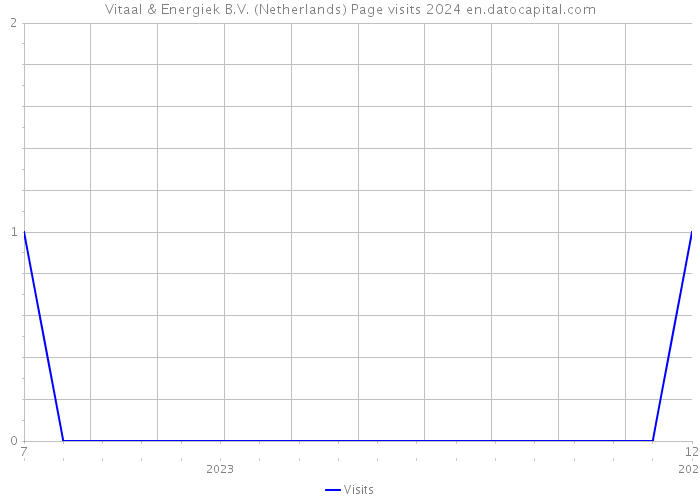 Vitaal & Energiek B.V. (Netherlands) Page visits 2024 