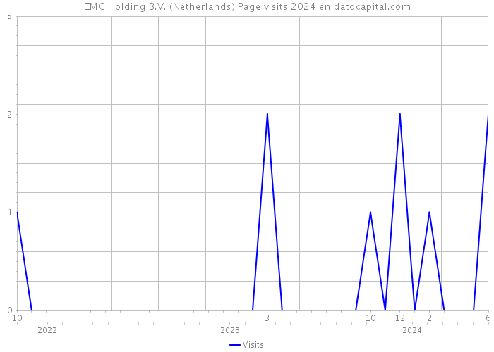 EMG Holding B.V. (Netherlands) Page visits 2024 