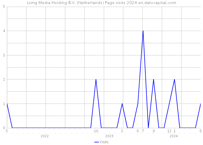 Lsmg Media Holding B.V. (Netherlands) Page visits 2024 