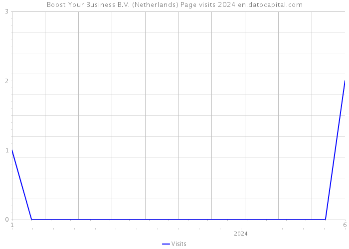 Boost Your Business B.V. (Netherlands) Page visits 2024 
