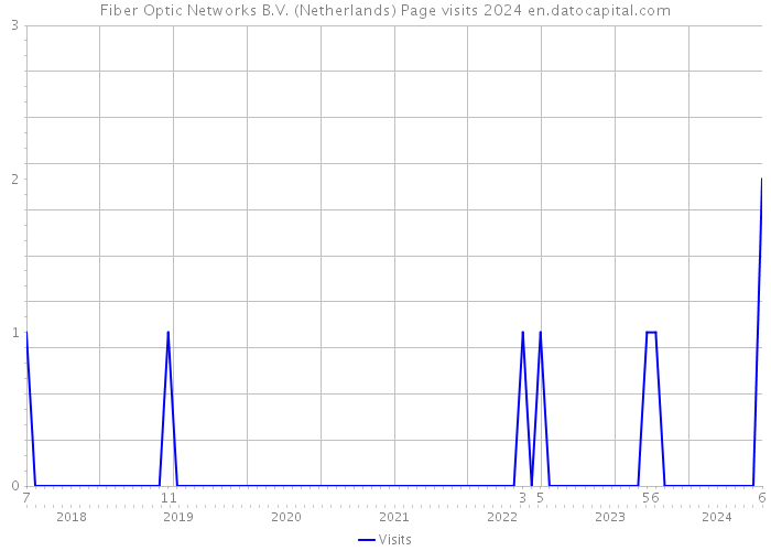 Fiber Optic Networks B.V. (Netherlands) Page visits 2024 