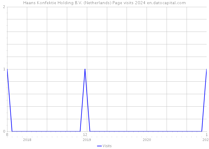 Haans Konfektie Holding B.V. (Netherlands) Page visits 2024 