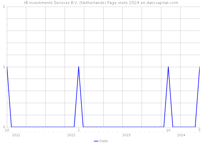 tB investments Services B.V. (Netherlands) Page visits 2024 