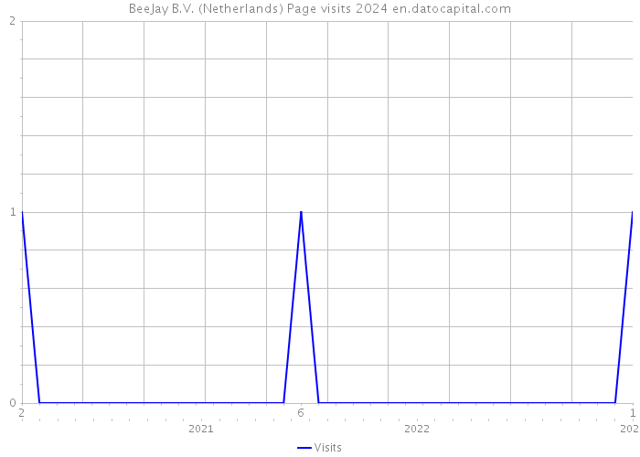 BeeJay B.V. (Netherlands) Page visits 2024 