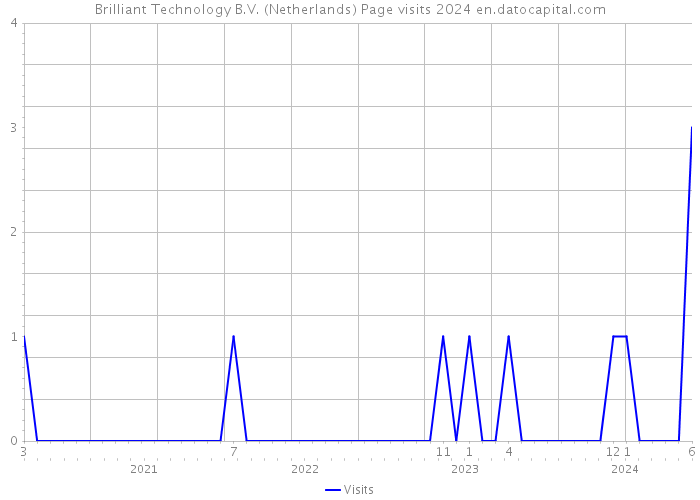 Brilliant Technology B.V. (Netherlands) Page visits 2024 