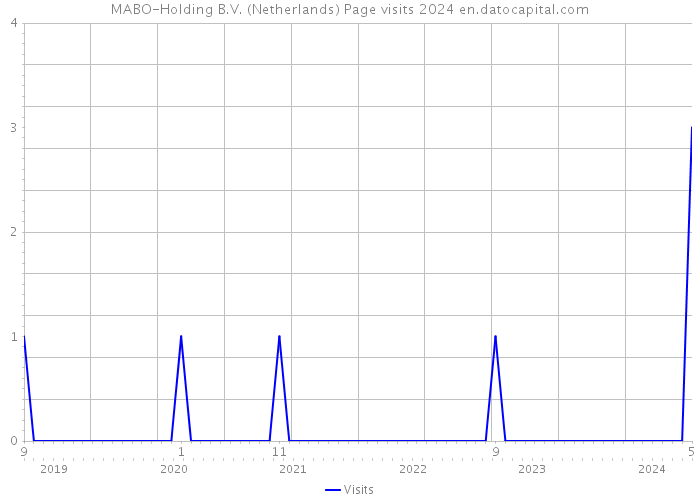 MABO-Holding B.V. (Netherlands) Page visits 2024 