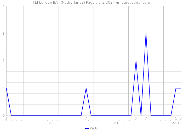 FEI Europe B.V. (Netherlands) Page visits 2024 