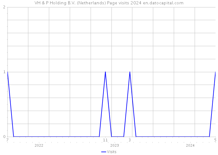 VH & P Holding B.V. (Netherlands) Page visits 2024 