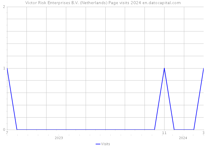 Victor Risk Enterprises B.V. (Netherlands) Page visits 2024 