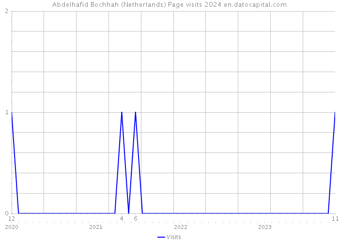 Abdelhafid Bochhah (Netherlands) Page visits 2024 