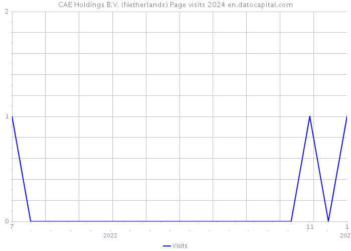 CAE Holdings B.V. (Netherlands) Page visits 2024 