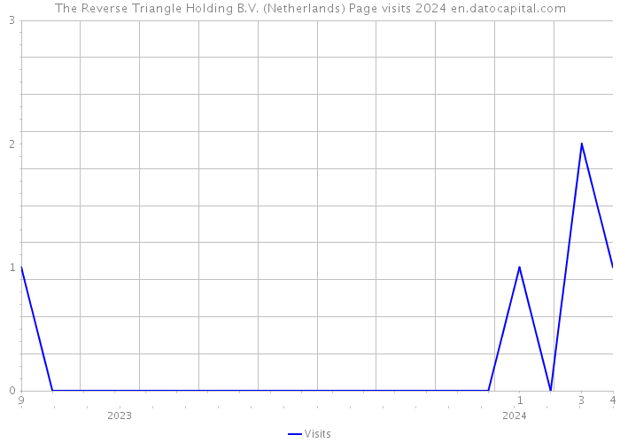 The Reverse Triangle Holding B.V. (Netherlands) Page visits 2024 