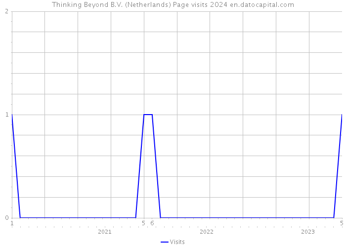 Thinking Beyond B.V. (Netherlands) Page visits 2024 