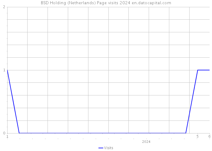 BSD Holding (Netherlands) Page visits 2024 