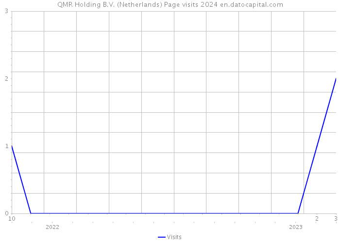 QMR Holding B.V. (Netherlands) Page visits 2024 