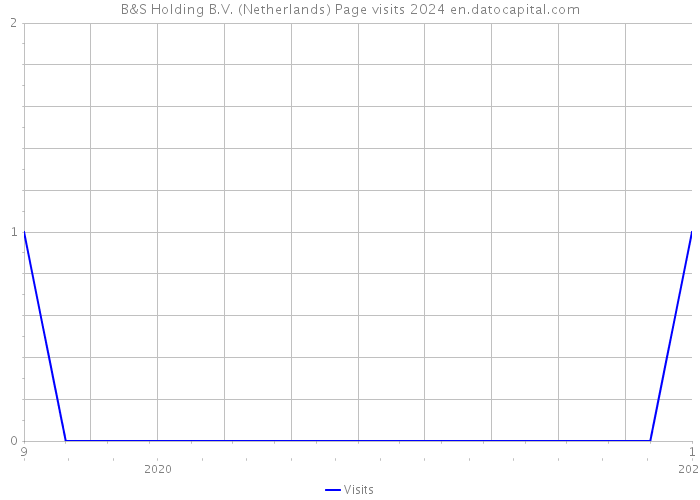 B&S Holding B.V. (Netherlands) Page visits 2024 