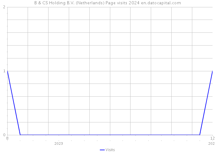 B & CS Holding B.V. (Netherlands) Page visits 2024 