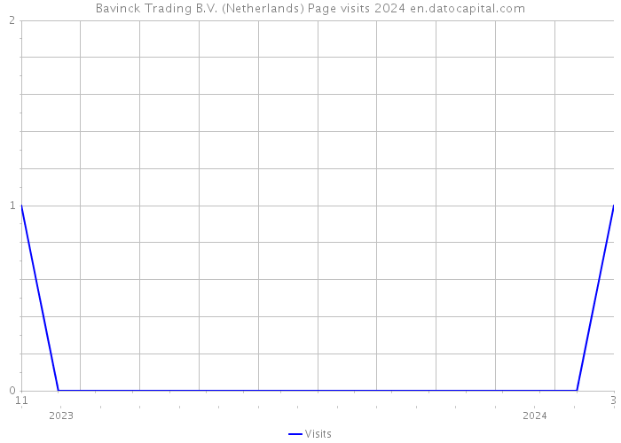 Bavinck Trading B.V. (Netherlands) Page visits 2024 