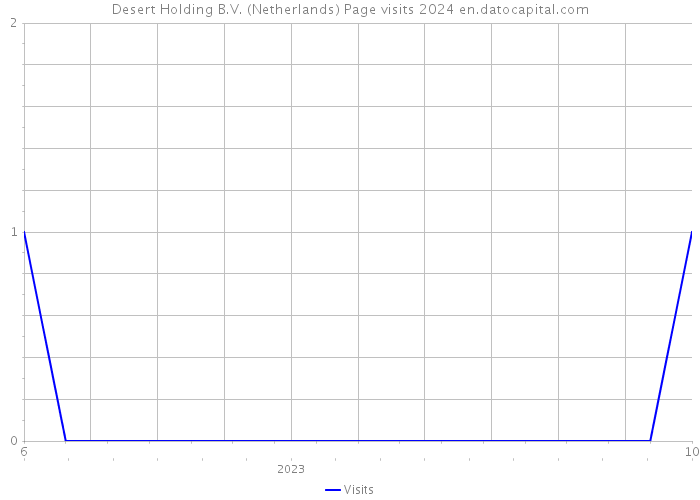 Desert Holding B.V. (Netherlands) Page visits 2024 