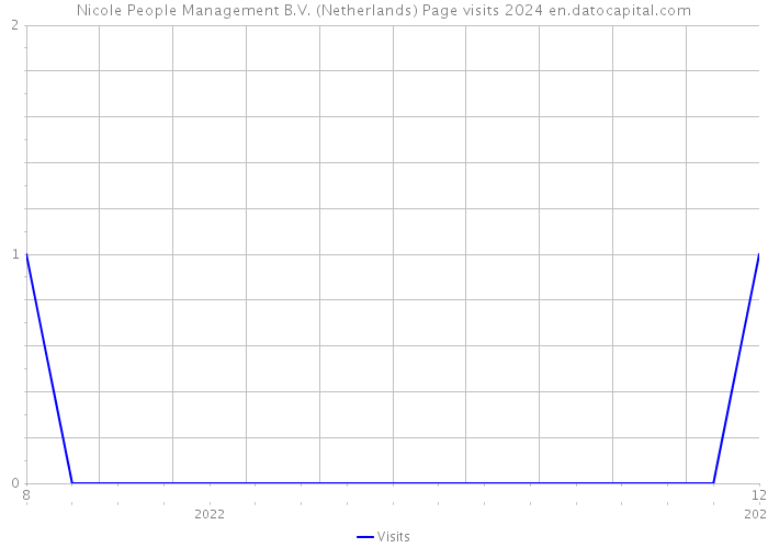 Nicole People Management B.V. (Netherlands) Page visits 2024 