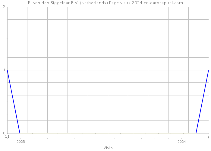 R. van den Biggelaar B.V. (Netherlands) Page visits 2024 