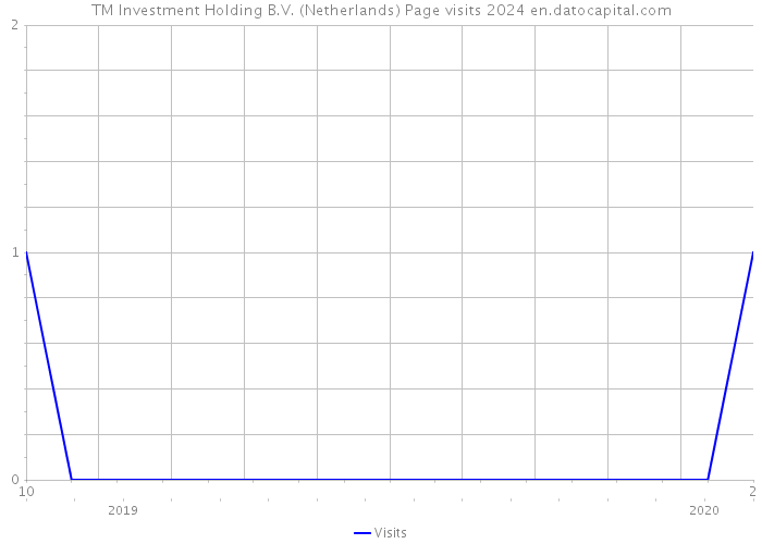 TM Investment Holding B.V. (Netherlands) Page visits 2024 