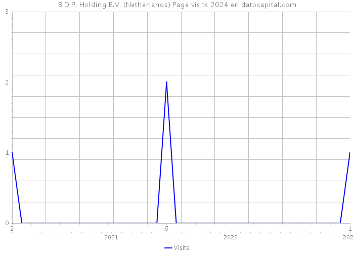 B.D.P. Holding B.V. (Netherlands) Page visits 2024 
